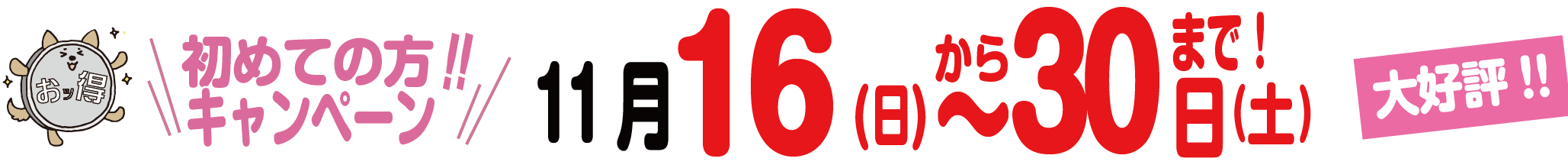 WEB限定！特別キャンペーン